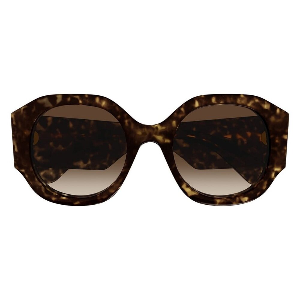 New CHLOE Havana Square CH0234S 002 Sunglasses Women - Picture 2 of 4